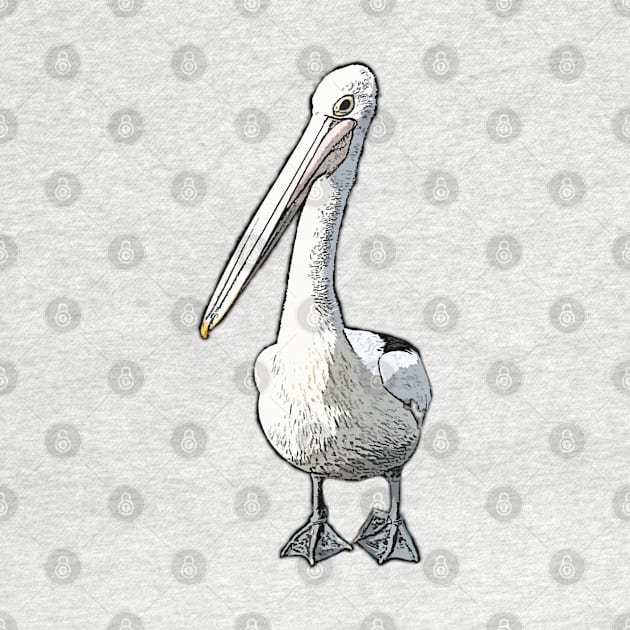 IT'S A PELICANS LIFE - CARTOON PELICAN BIRD FROM A PHOTOGRAPH by iskybibblle